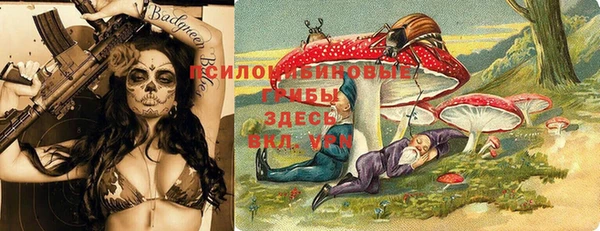 дмт Абаза