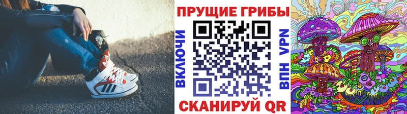 Псилоцибиновые грибы Psilocybe  Златоуст 