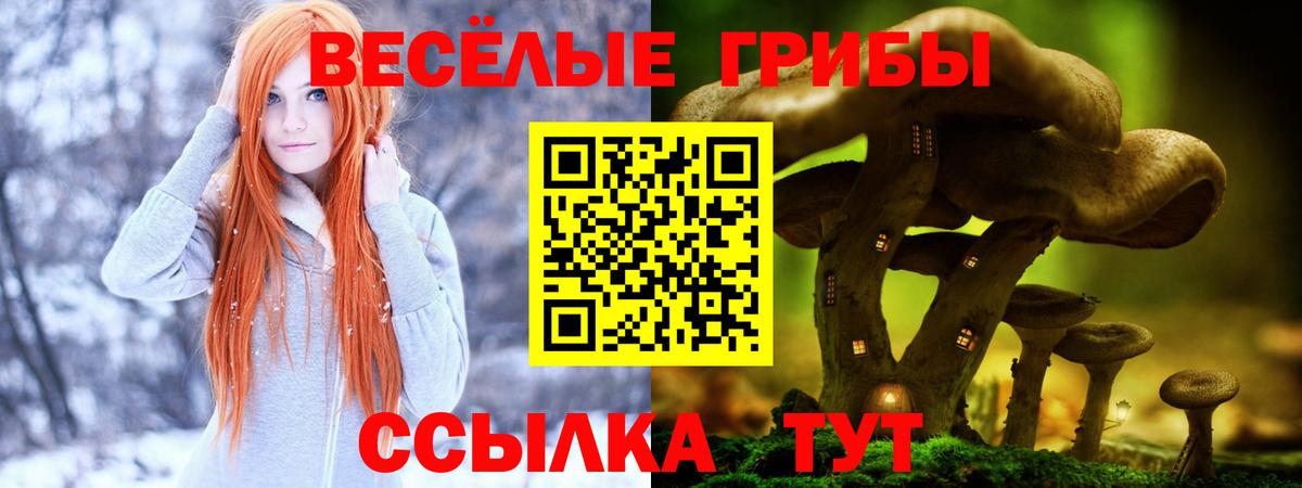 Златоуст  Псилоцибиновые грибы Magic Shrooms  Вход с VPN 